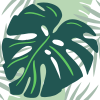 monstera care guide logo